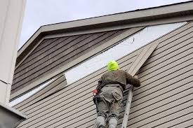 Best Custom Siding Design  in Goldstream, AK